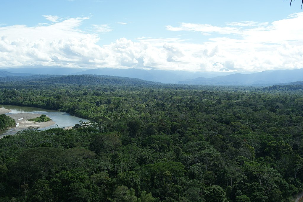 Deforestation in the Amazon forest is causing the release of millions of tonnes of carbon dioxide every year.
