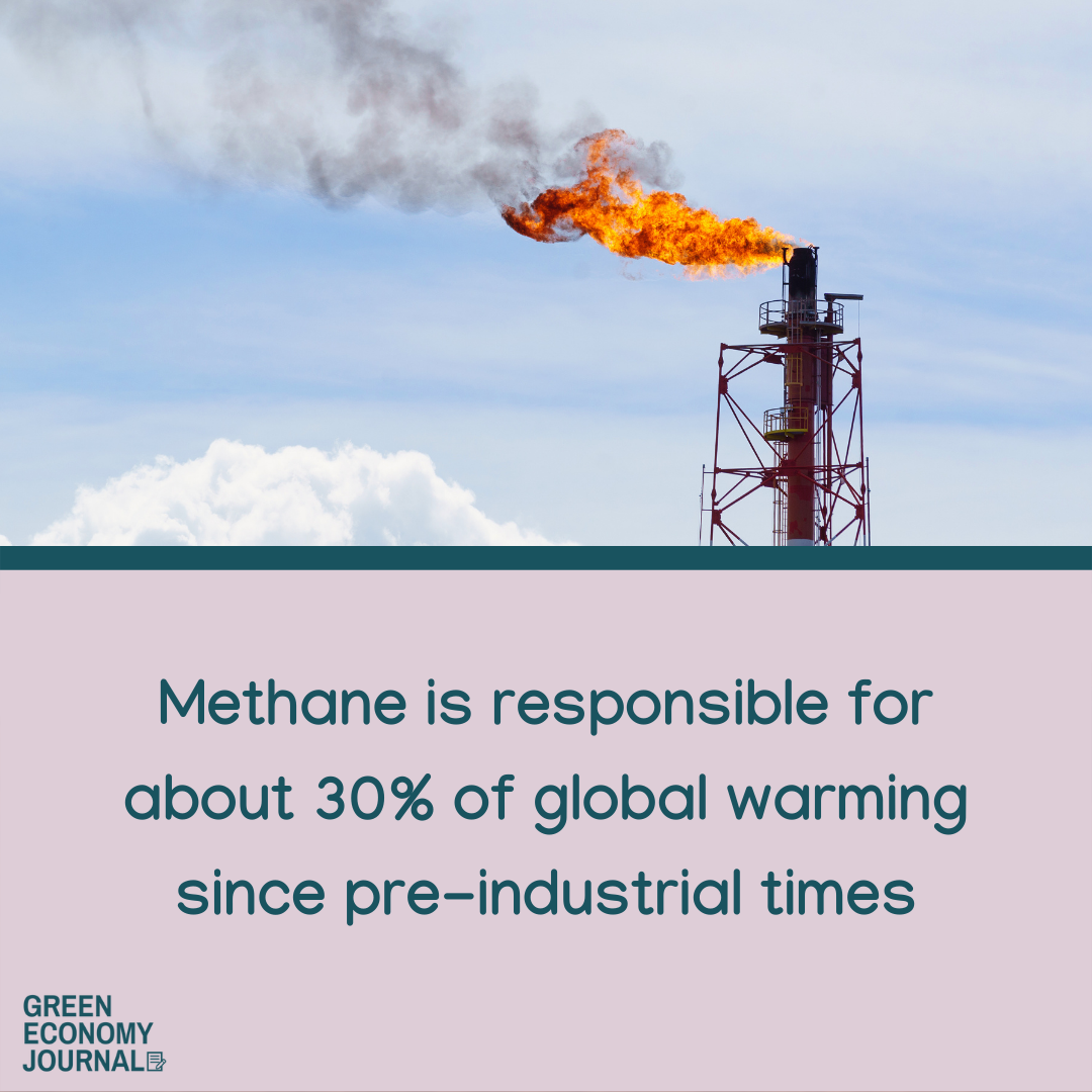 Methane and global warming graphic