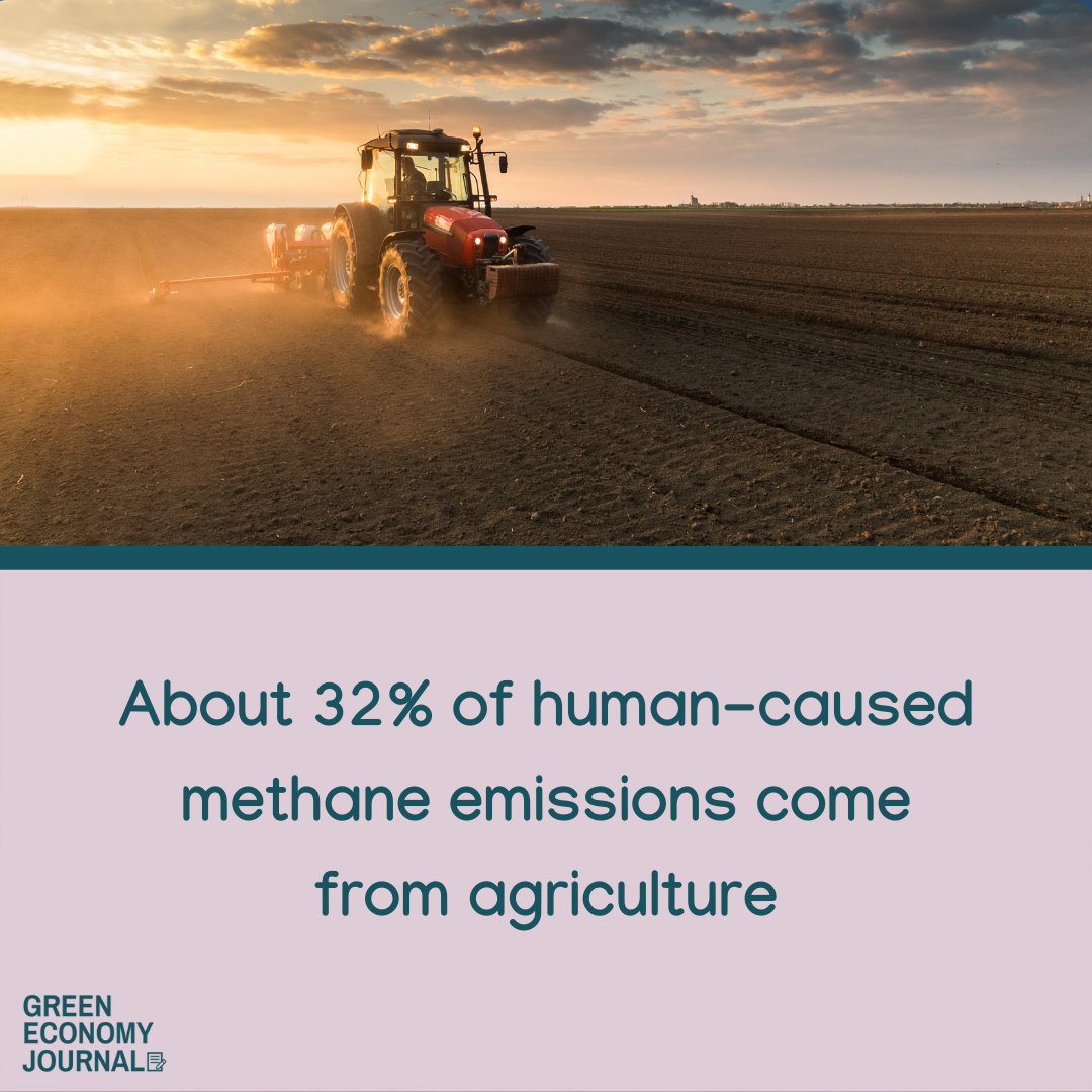 Methane emissions from agriculture