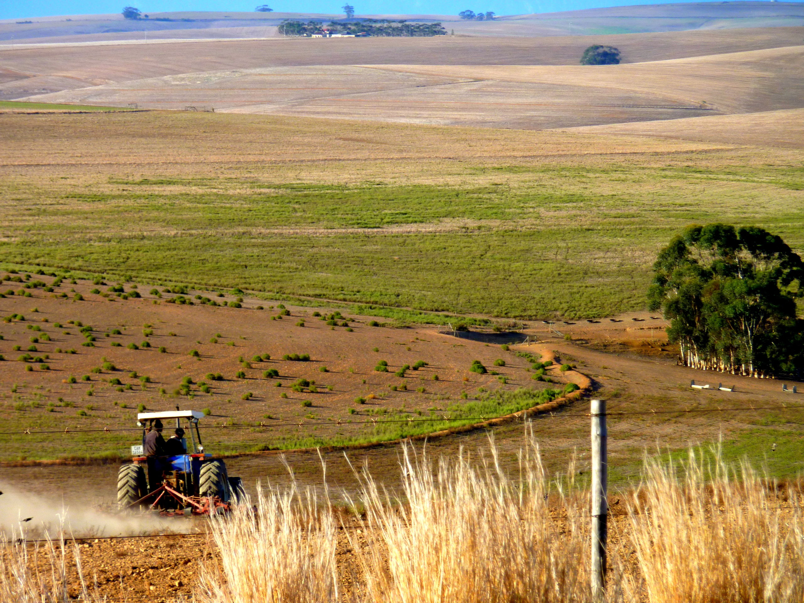 image of farming in South Africa