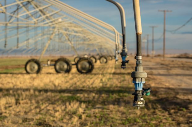 A sprinkler sprays crops with water in a dry, hot-looking landscape. drought is a cause of food inflation