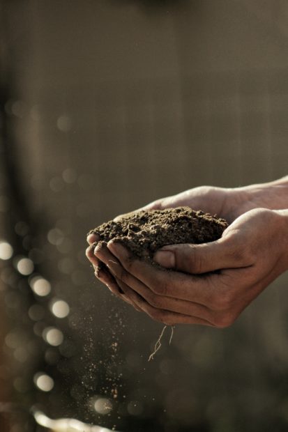 Photo of cupped hands holding a handful of soil