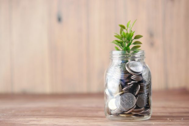 Photograph of a small green plant growing out of a jar of coins