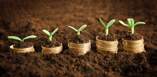 Image representing green growth. It shows a row of piles of coins in soil with shoots coming out of them. The piles get higher as you move along the line, to represent growth.