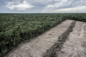 An aerial view of a deforested zone in Bolivia