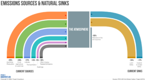 Infographic showing Earth's emission sources and sinks
