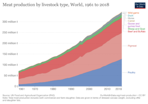 Graph showing meat production by livestock, increasing over recent decades