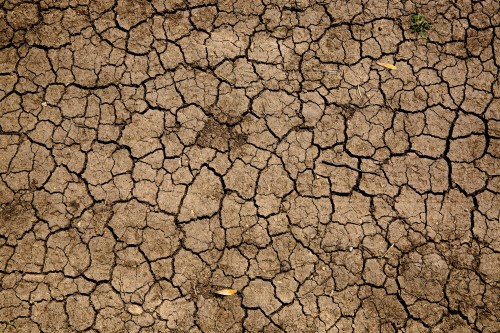 Environmental issue: Drought