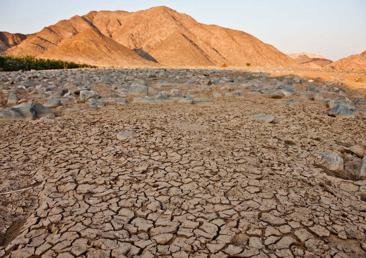 Drought-stricken barren landscape with cracked earth