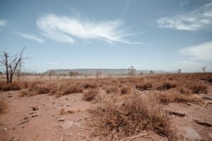 South Africa is at risk of droughts due to global waming impacts