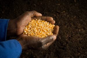 Climate change could worsen hunger in South Africa.